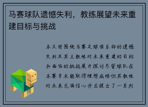 马赛球队遗憾失利，教练展望未来重建目标与挑战